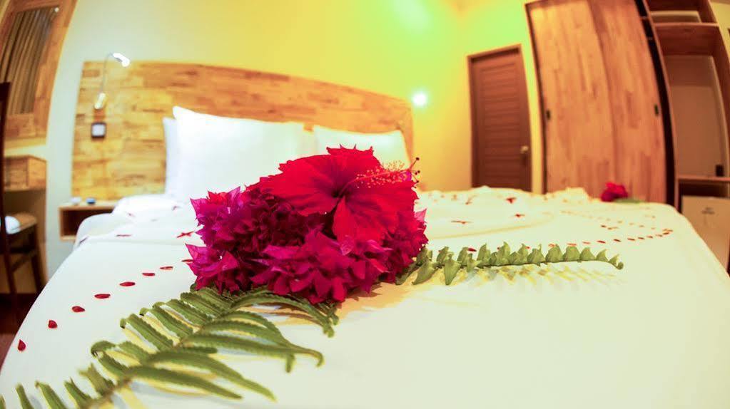 Hotel Narnia Maldives Maafushi Zewnętrze zdjęcie